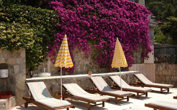 Villa Daffodil Hotel