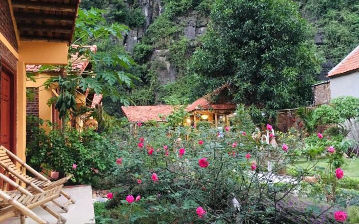 Tam Coc Luxury Homestay