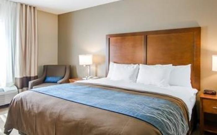 Comfort Inn & Suites Lynchburg Airport - University Area