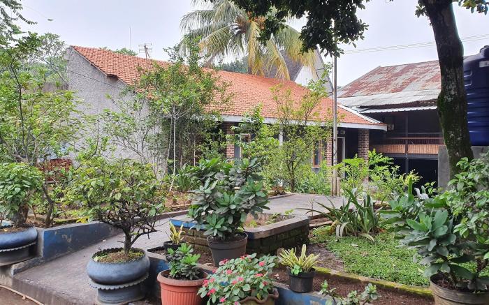 OYO 2302 Blue House Costel