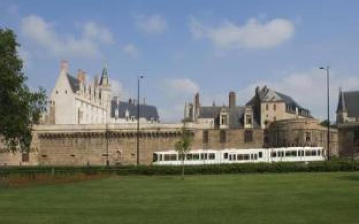 Cerise Nantes La Beaujoire