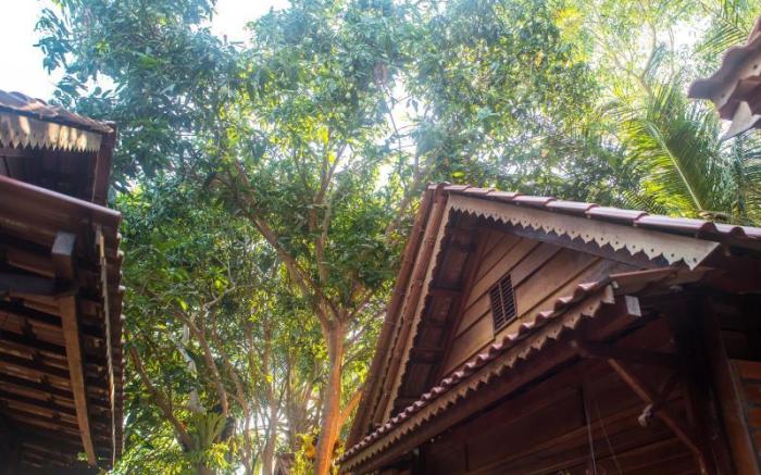 Cosy Bungalow
