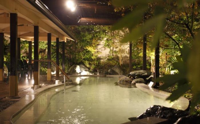 Hotel Wellseason Hamanako