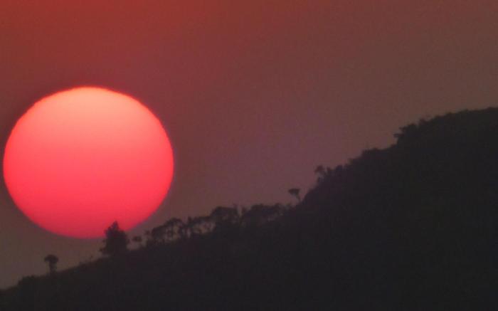 Grace Inn Munnar Homestay