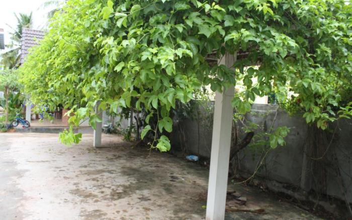 My Parents Guesthouse