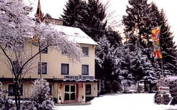 Wald-Hotel