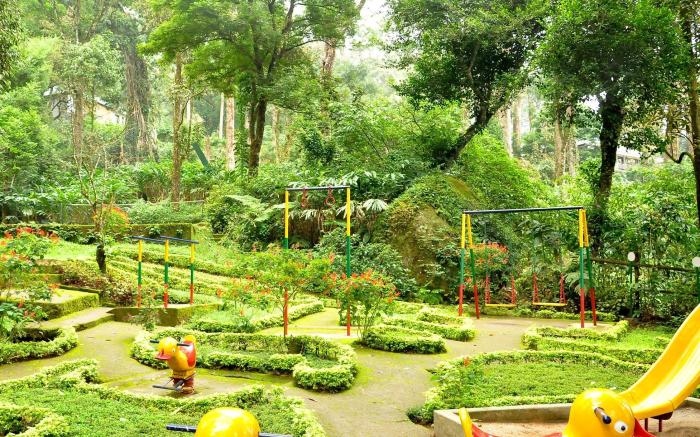 The Tall Trees Munnar