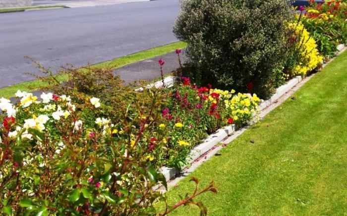 Totara Lodge Motel