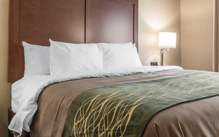 Comfort Inn & Suites