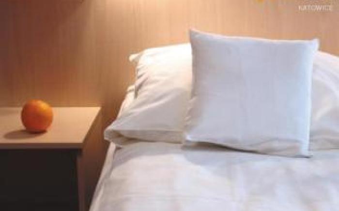 Economy Silesian Hotel