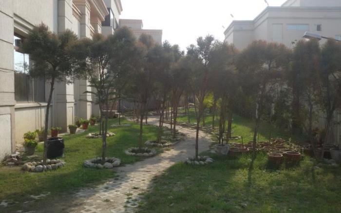 The Competent Palace Dehradun