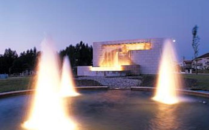 Hotel Rainha D. Amelia, Arts & Leisure