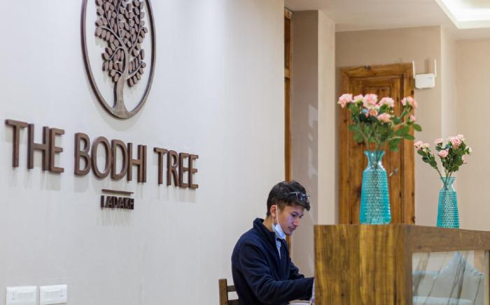 The Bodhi Tree