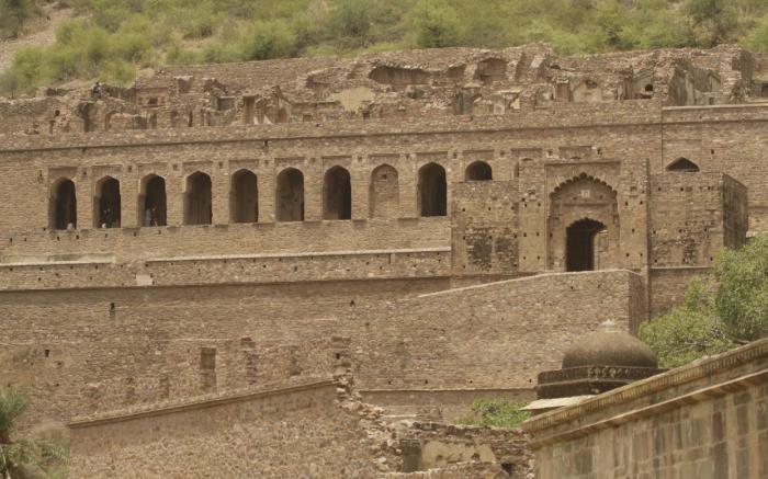 Tree of Life Sariska Manor