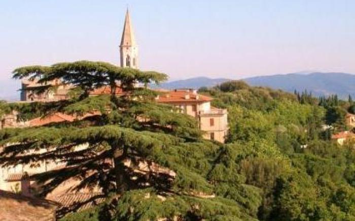 Hotel Signa