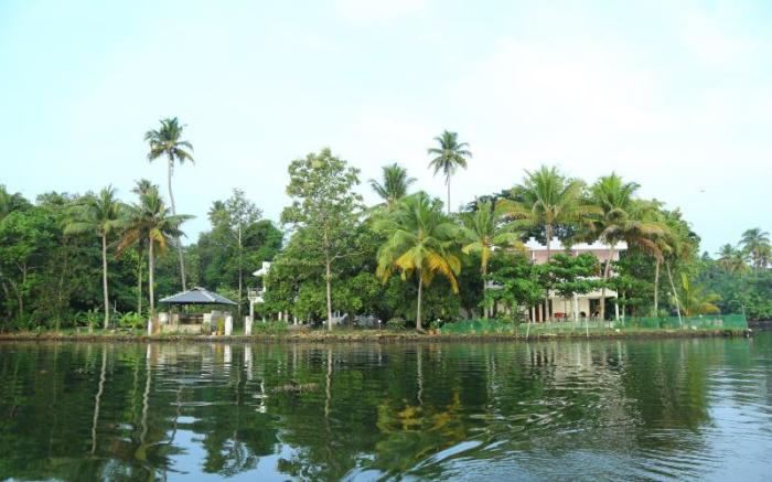Orchid Lake View Homestay