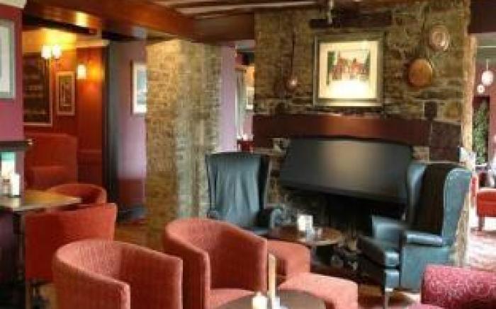 Dog House by Chef & Brewer Collection