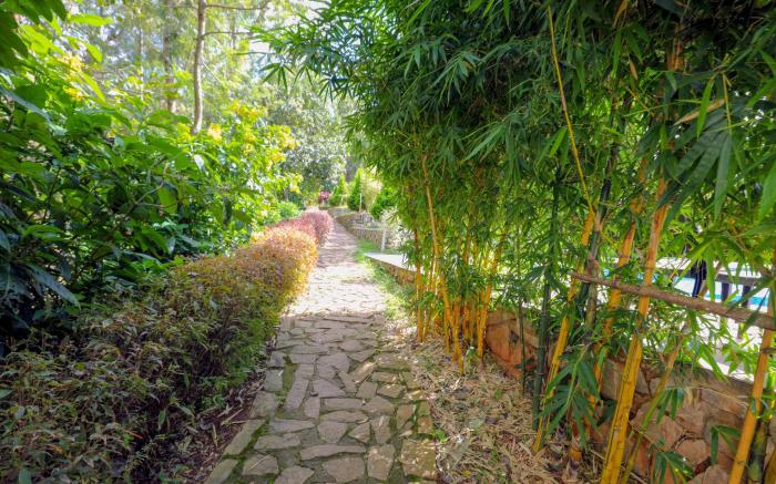 The Blossom Resort – Chikmagalur