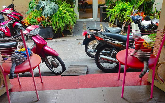 Sakura Hostel Saigon