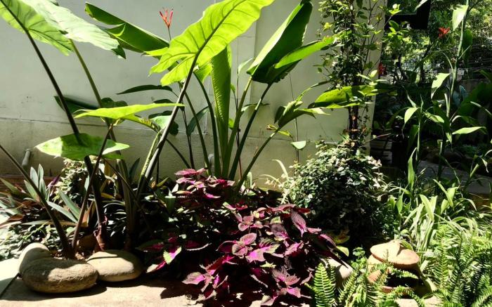Sunny Garden Homestay