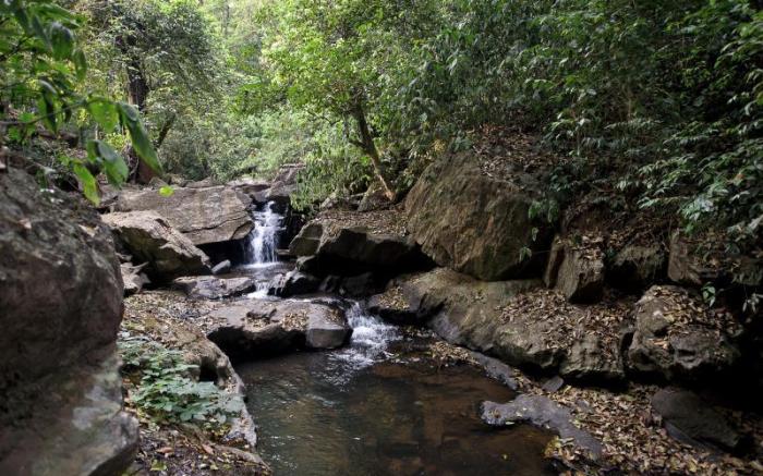 Three Hills  Coorg