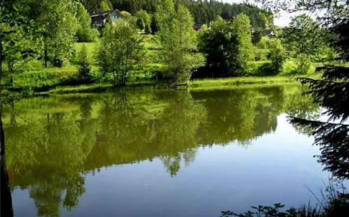 LOGIS Hotel Restaurant La Vigotte