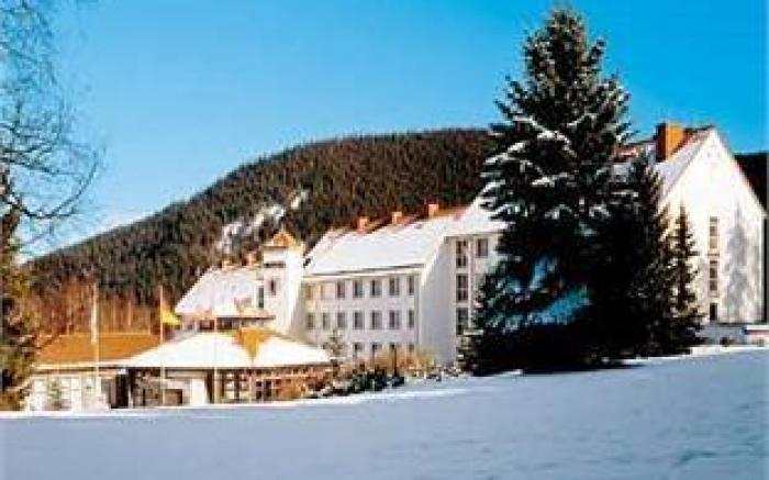 Waldhotel Berghof