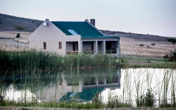Kwetu Guest Farm