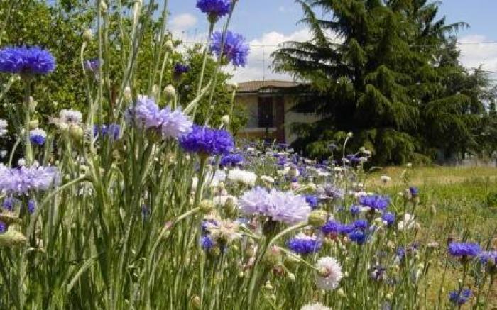 Hotel Ristorante alla Campagna