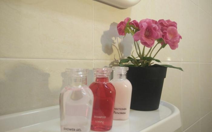 Penthouse Apartments