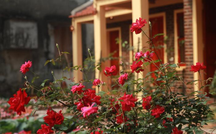 Tam Coc Sunshine Homestay