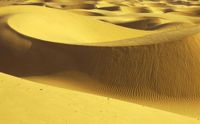 Dynasty Desert Camp and Resort