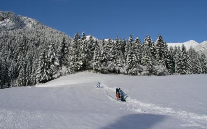 Zum Hirschen Boutique Hotel Val di Non