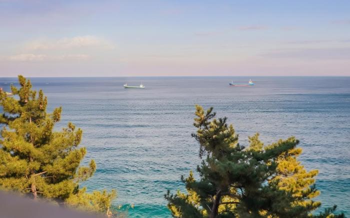 Samcheok Padosori Pension