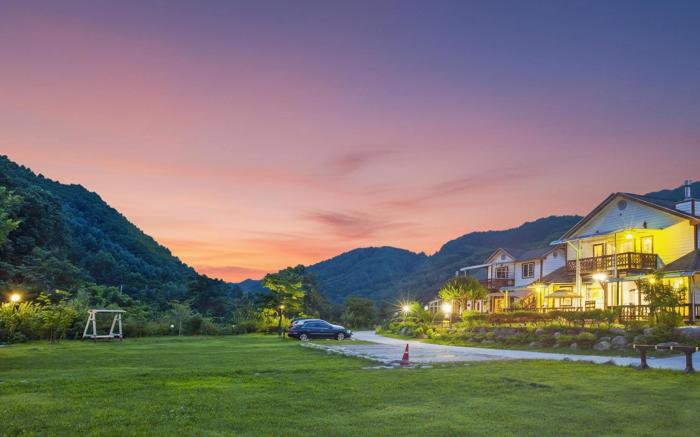 Hwacheon Parprika Yellow Pension