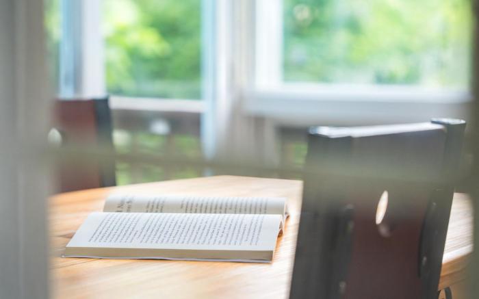 Hwacheon Parprika Yellow Pension