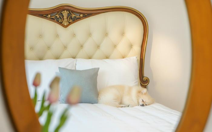 Gapyeong Elin Pension