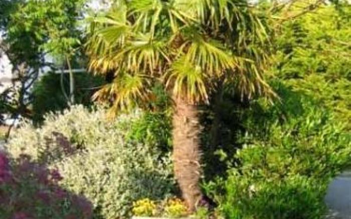 Hotel Restaurant La Voile Bleue