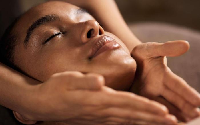 Ibis Styles Aix Les Bains Hotel