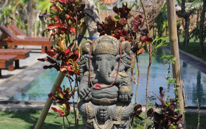 Asung Guest House and Villa