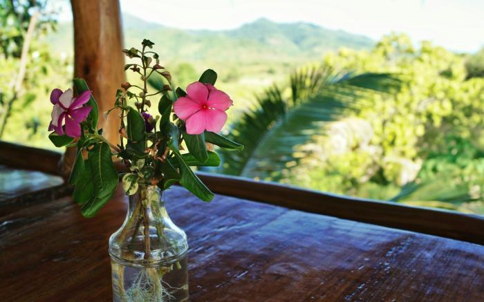 Erlittop Nature Lodge