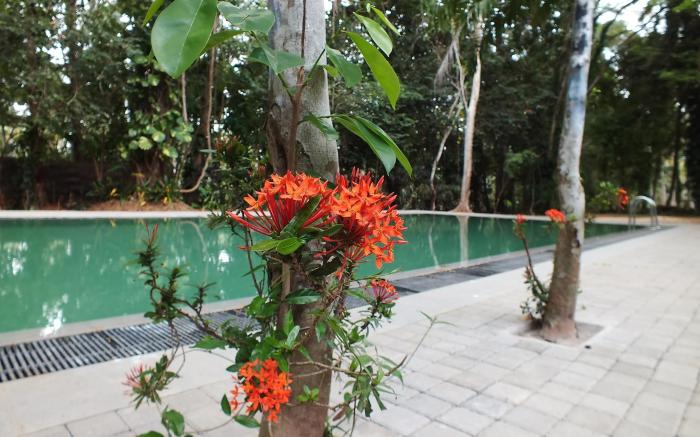 Diklande Estate Bungalow