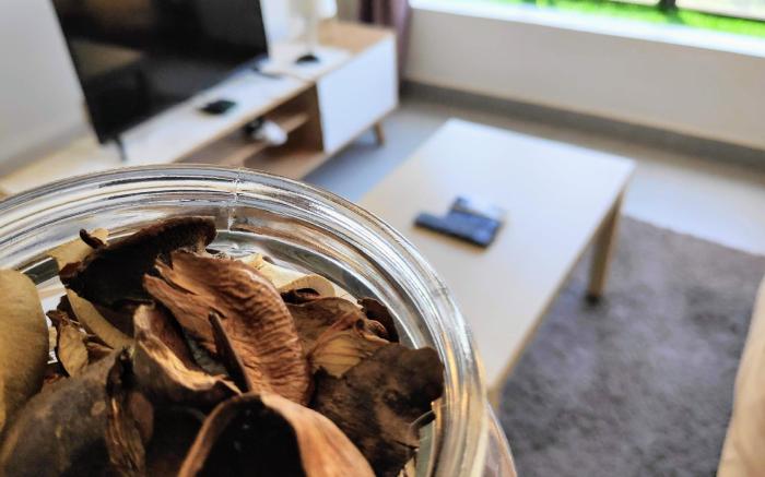 RC Kanvas SOHO @ Cyberjaya KLIA WiFi NETFLIX