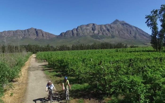 Vindoux Tree House Guest Farm and Day Spa