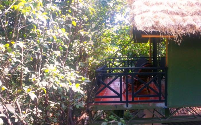 Anandvan Resort Bhandardara