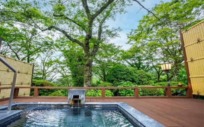 Hakone Kowakien Mikawaya Ryokan