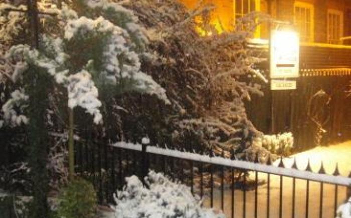 The Sycamore Guest House