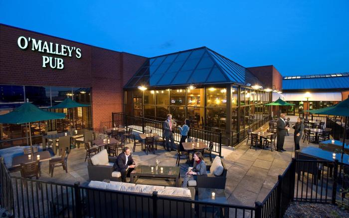 Holiday Inn Washington-Dulles International Airport By IHG