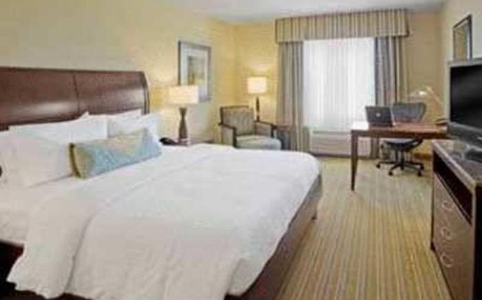 Hilton Garden Inn Orlando Lake Buena Vista