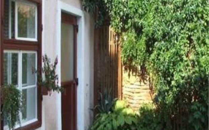 Guesthouse Casa Baciu